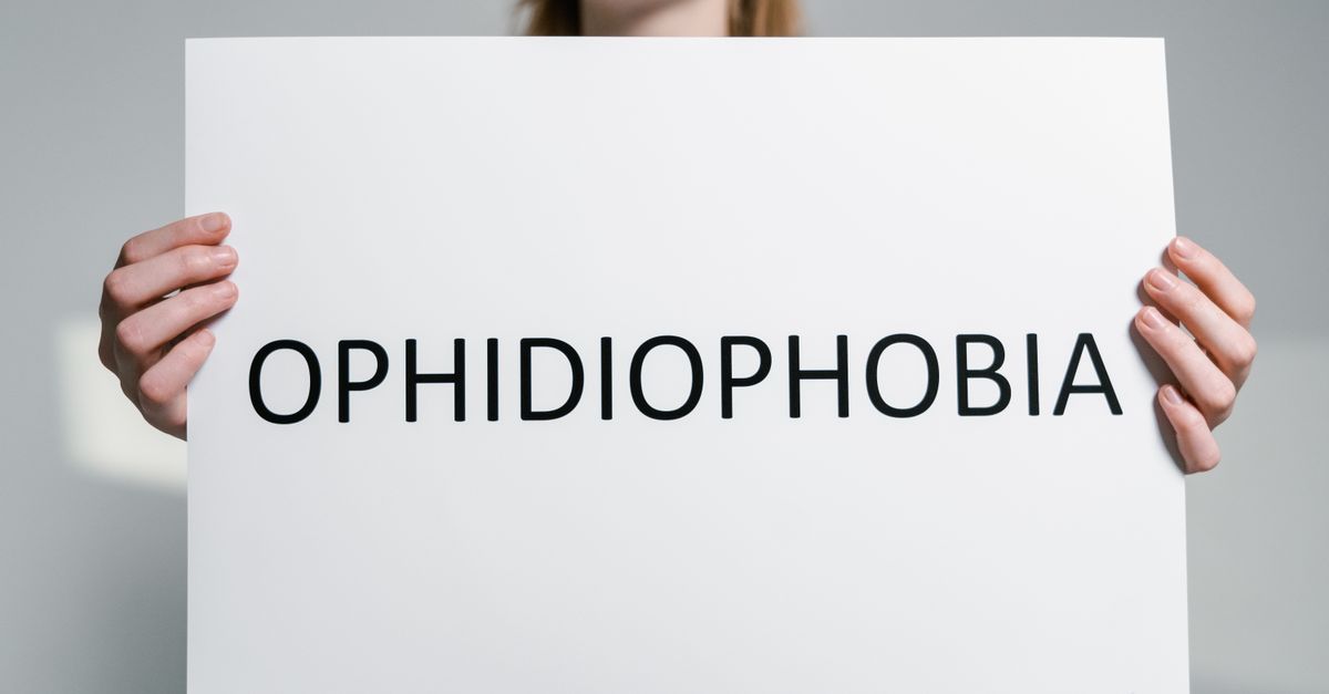 Close-up of a person holding a sign with the word 'Ophidiophobia' symbolizing fear of snakes.